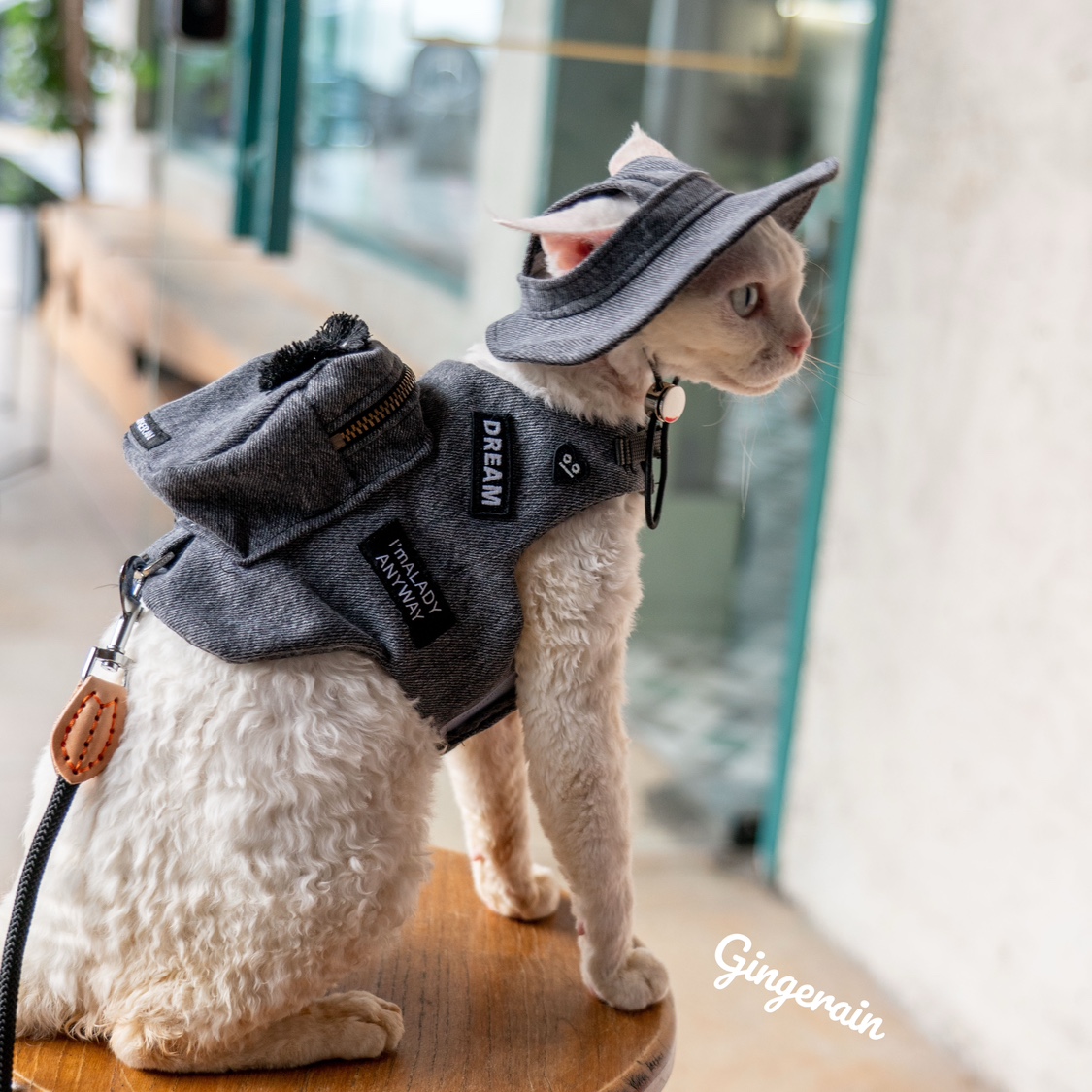 Luxury Bags Cute - Handgemaakte Luxe Reis Kat Draagtas Zwart