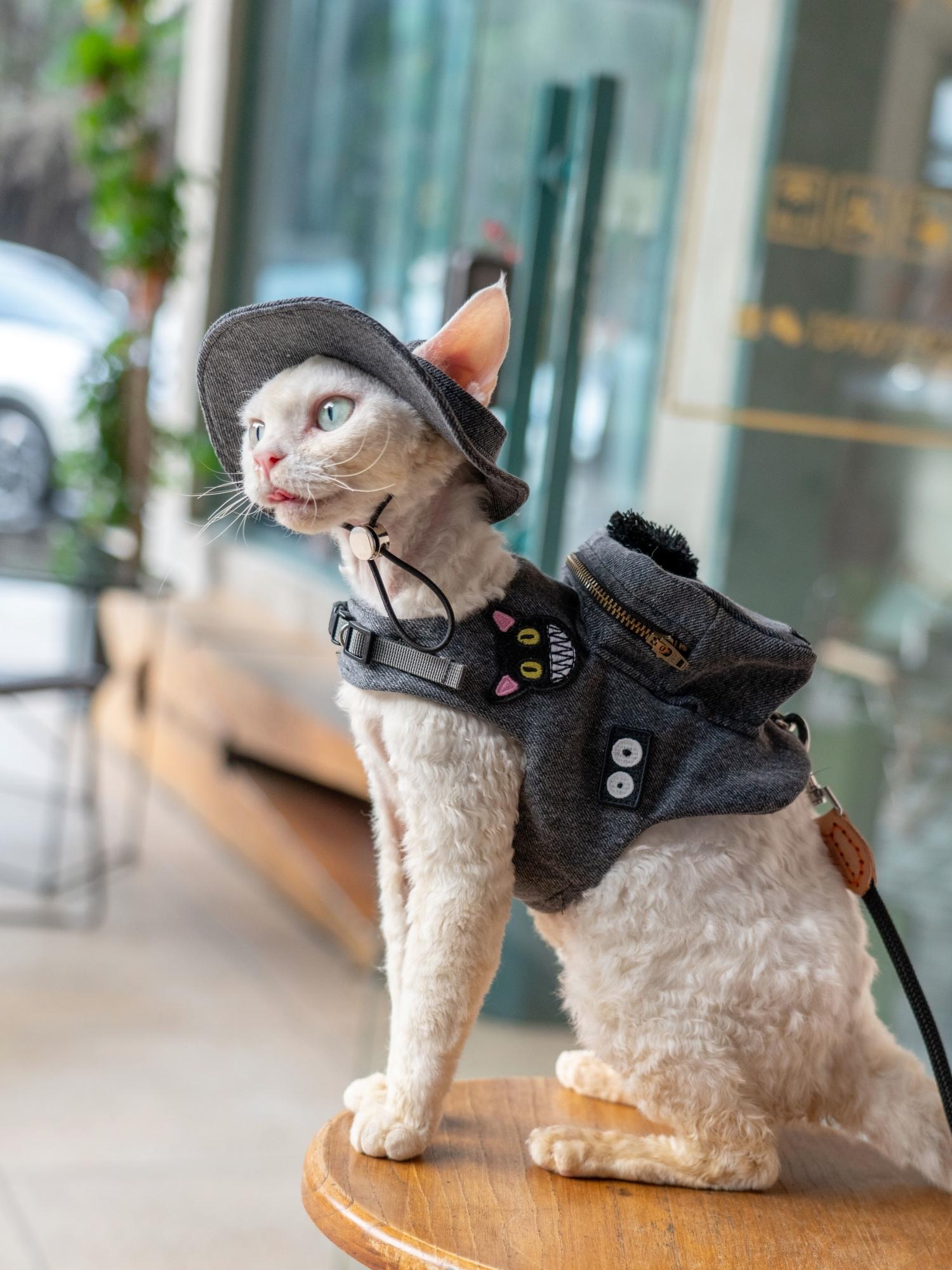 Handgemaakte Luxe Reis Kat Dra - Luxury Bags Cute recensie en prijs