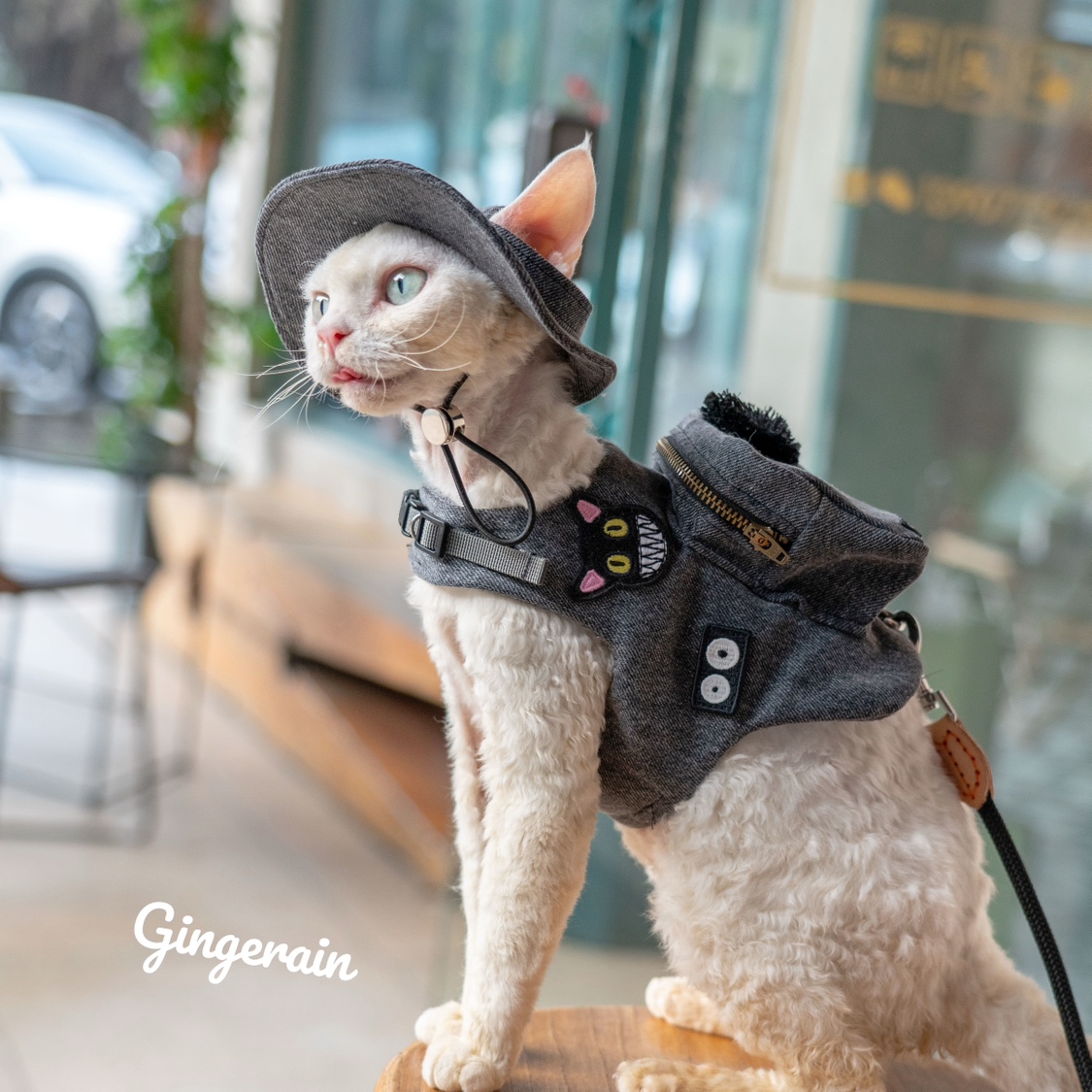 Handgemaakte Luxe Reis Kat Dra - Luxury Bags Cute recensie en prijs
